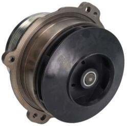 THERMOTEC Pompă de apă, răcire motor THERMOTEC WP-IV133 (WP-IV133)