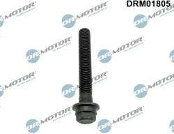 Dr. Motor Automotive Surub fulie Dr. Motor Automotive DRM01805 (DRM01805)