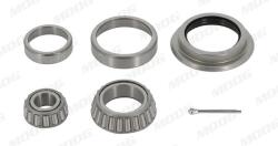 Moog Set rulment roata MOOG FD-WB-11177 (FD-WB-11177) - automobilus