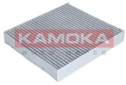 KAMOKA Filtru, aer habitaclu KAMOKA F503801 (F503801)