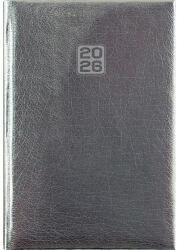 Dayliner Naptár, tervező, A5, heti, DAYLINER, "Mirror", ezüst (NMHEU) - jatekotthon