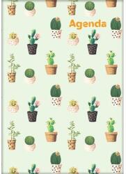 Dayliner Naptár, tervező, A5, heti, DAYLINER, "Colors", Cactus (NCA5HCAU) - jatekotthon