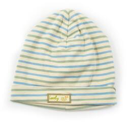 Pidilidi Gyermek sapkák, pidilidi, pd411, kék - 44 méret