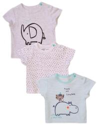 Minoti Rövidujjú baba póló 3 csomag, Minoti, Koala 3, fehér - 68/74 | 6-9m méret