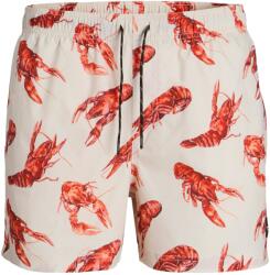 JACK & JONES Férfi Fürdőnadrág, 12272809, Újrahasznosított Poliészter/Poliészter, L INTL, Bézs (0000304778223_L)