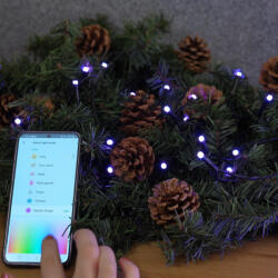 WiZ kültéri okos fényfüzér (RGB) (929004101222)