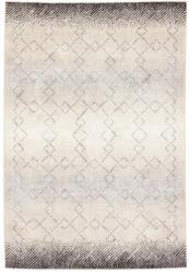 Rezas Modern Oslo 7 Szőnyeg 240x160 cm