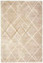 Rezas Bézs Modern Oslo 4 Szőnyeg 350x250 cm