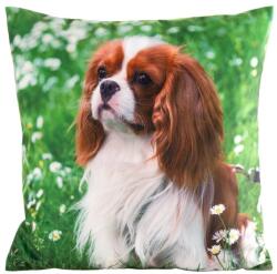 Eurofirany Animal74 kutyás párnahuzat Zöld 45x45 cm
