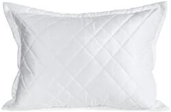 Eurofirany Ria6 bársony párnahuzat Fehér 50x70 cm