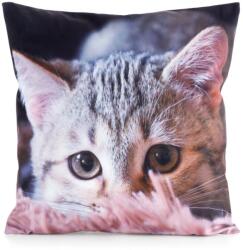 Eurofirany Animal75 cicás párnahuzat Szürke 45x45 cm