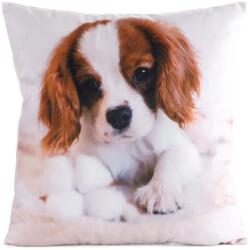 Eurofirany Animal72 kutyás párnahuzat Fehér 45x45 cm