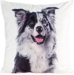 Eurofirany Animal77 kutyás párnahuzat Fehér 45x45 cm