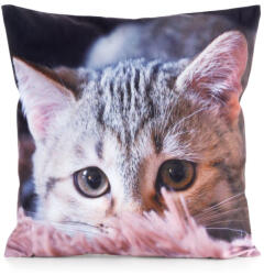  Animal75 cicás párnahuzat Szürke 45x45 cm