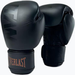 Everlast Mănuși de box Everlast Muay Thai - TITAN black