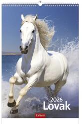 TopTimer Falinaptár TOPTIMER T094 220x330mm álló Lovak 2026. T9400-07A (T9400-07A)