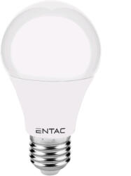 Entac LED Globe E27 10W WW 3000K (LLG27-10W-WW) (LLG27-10W-WW)