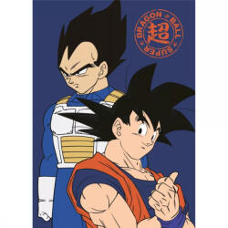  Dragon Ball polár takaró 100x140cm (AYM989294)