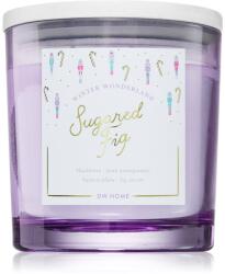 DW HOME Winter Wonderland Sugared Fig lumânare parfumată 510 g