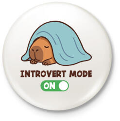 printfashion Introvert mode - Kitűző, hűtőmágnes - Fehér (17641620)