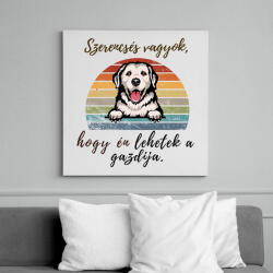 printfashion Szerencsés vagyok4 - Vászonkép - Fehér (17656030)