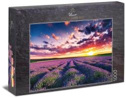 Ulmer 1000 db-os puzzle - Lavender Blossoms (0053) (0053)