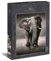 Ulmer 1000 db-os puzzle - The Wanderer (0275) (0275)