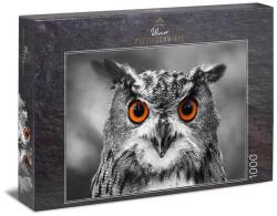 Ulmer 1000 db-os puzzle - Owl (0411) (0411)
