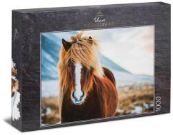 Ulmer 1000 db-os puzzle - Miss Winterhair (0640) (0640)