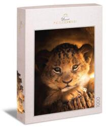 Ulmer 1000 db-os puzzle - Little Prince (1609) (1609)