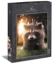 Ulmer 1000 db-os puzzle - Raccoon Looking for a Friend (1630) (1630)