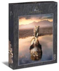 Ulmer 1000 db-os puzzle - Mirror, Mirror. . . (1654) (1654)