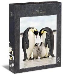 Ulmer 1000 db-os puzzle - Family Happiness (2347) (2347)