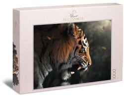 Ulmer 1000 db-os puzzle - Eye to Eye (2538) (2538)