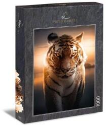 Ulmer 1000 db-os puzzle - Eyes of the Night (2569) (2569)
