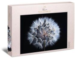 Ulmer 1000 db-os puzzle - Dandelion (2736) (2736)