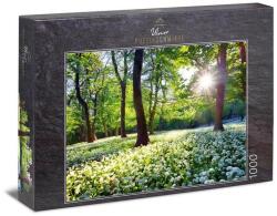 Ulmer 1000 db-os puzzle - Spring Sun (2743) (2743)