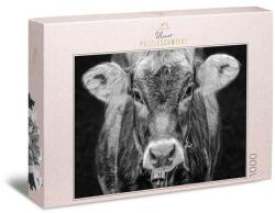 Ulmer 1000 db-os puzzle - Allgäu (2927) (2927)