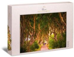 Ulmer 1000 db-os puzzle - The Dark Hedges (4655) (4655)