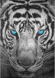 Ulmer 0008 - The Hunter - 1000 db-os puzzle (0008)