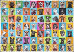 Ulmer 0244 - Colorful Dog - 1000 db-os puzzle (0244)