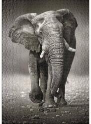 Ulmer 0275 - The Wanderer - 1000 db-os puzzle (0275)