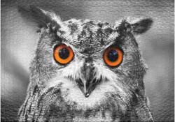 Ulmer 0411 - Owl - 1000 db-os puzzle (0411)