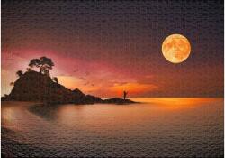 Ulmer 0602 - Dream Journey - 1000 db-os puzzle (0602)