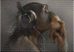 Ulmer 0626 - Sound of Evolution - 1000 db-os puzzle (0626)