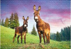 Ulmer 0787 - Alpine Donkey - 1000 db-os puzzle (0787)