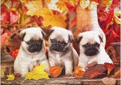 Ulmer 0893 - Puppy Happiness - 1000 db-os puzzle (0893)