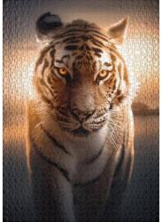 Ulmer 2569 - Eyes of the Night - 1000 db-os puzzle (2569)