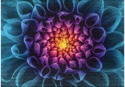 Ulmer 2682 - Mysterious Blossom - 1000 db-os puzzle (2682)