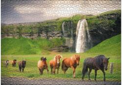 Ulmer 2804 - Icelandic Horse - 1000 db-os puzzle (2804)
